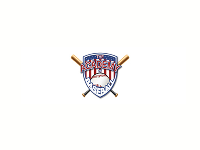 online marketing and design for the academy of baseball